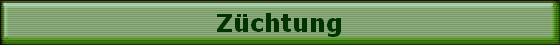 Zchtung